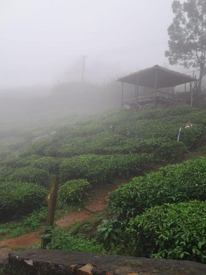 Mysterious Mountain Apartment Ooty Exterior photo